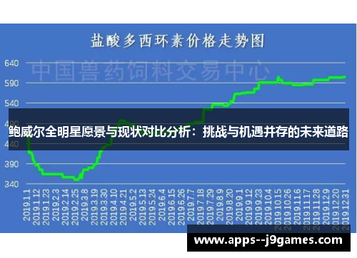 鲍威尔全明星愿景与现状对比分析：挑战与机遇并存的未来道路